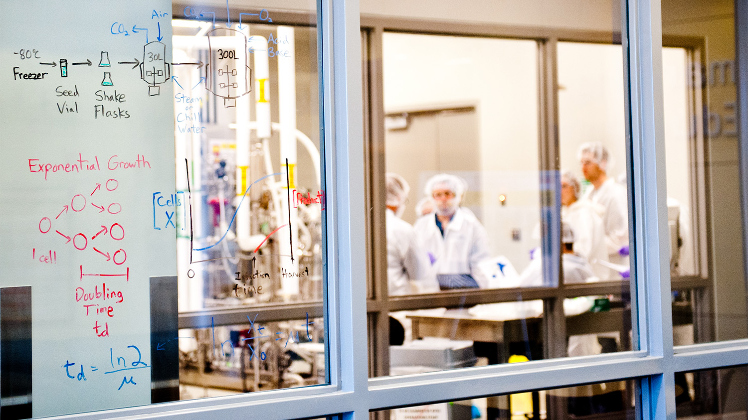Students participate in a hands-on activity in BTEC's large-scale fermentation lab.