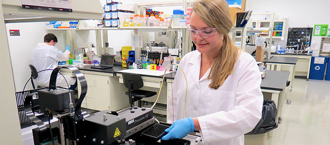 A student operates the Biotek Precision XS automated liquid handler.