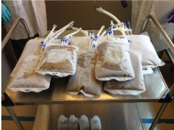 Cryoprotection and freezing – Microbial system pellets are packed in disposable bags and frozen prior to shipping to the field for testing.